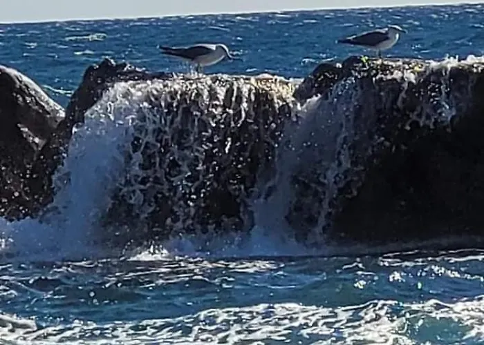 En Paradis Appartamento Saint-Raphaël