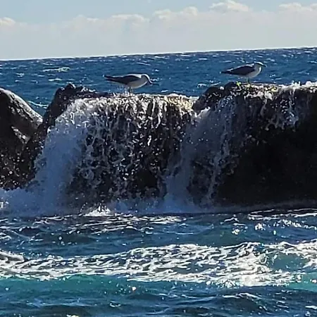 En Paradis شقة Saint-Raphaël